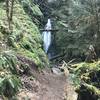 Trestle Falls