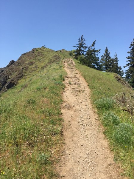 Approaching the Mitchell Point summit