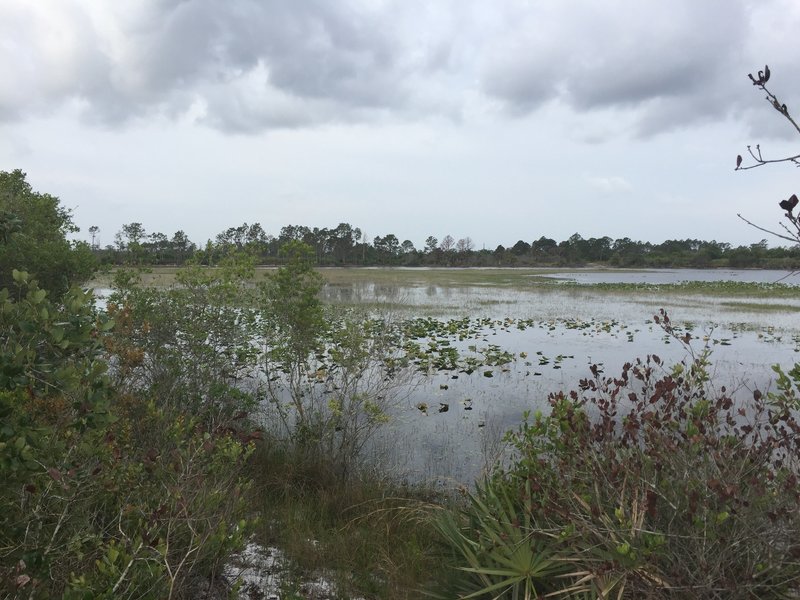 Lake at NE section of Green Trail