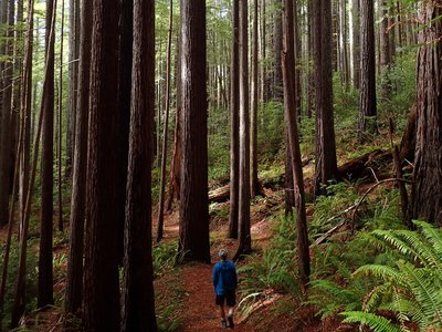 Along the #1107 trail