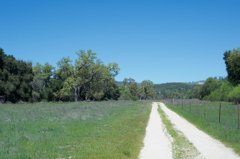 The Bacon Ranch Road is the trail for this hike. It's an old road that was used by the Bacons on their farm.