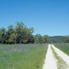 The Bacon Ranch Road is the trail for this hike. It's an old road that was used by the Bacons on their farm.