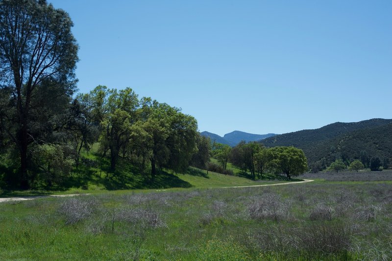 Looking back into the park from the boundary, you can see North Chalone Peak in the distance.