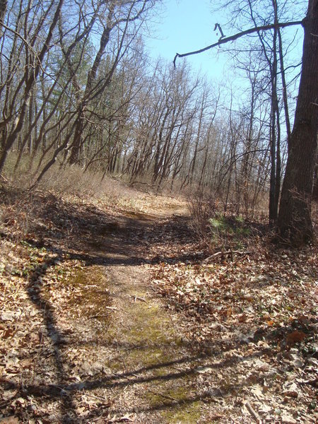 Trail headed to Crooked Lake to view wetland dependent wildlife.