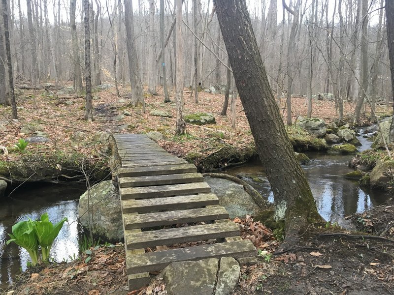 Scenic wide stream crossing