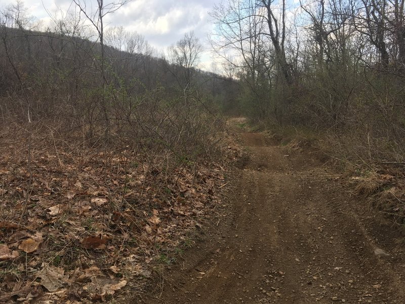 Undulating dirt track