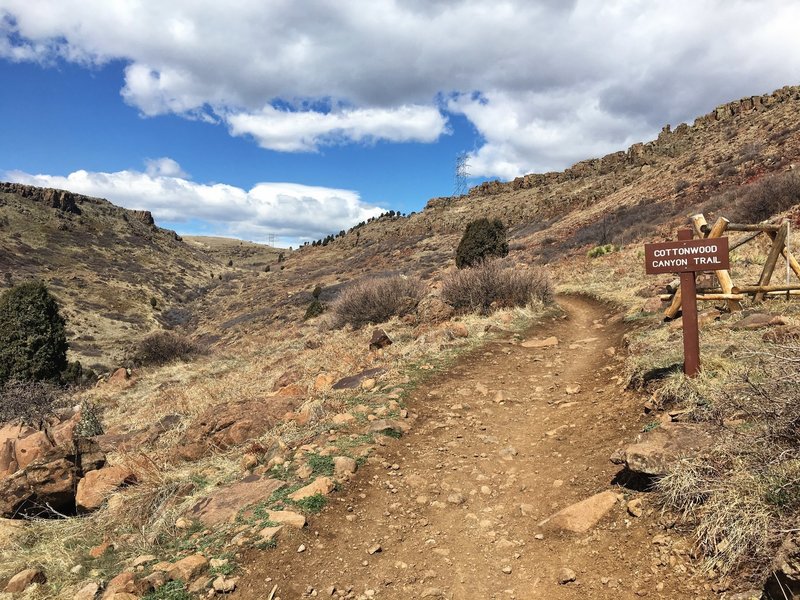 North Table Loop and Cottonwood Canyon Trails split