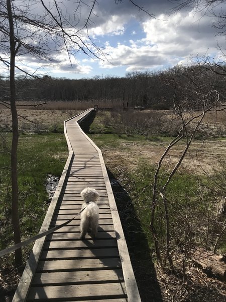 First Boardwalk