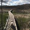 First Boardwalk