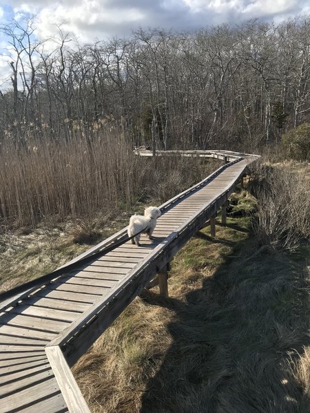 Second Boardwalk