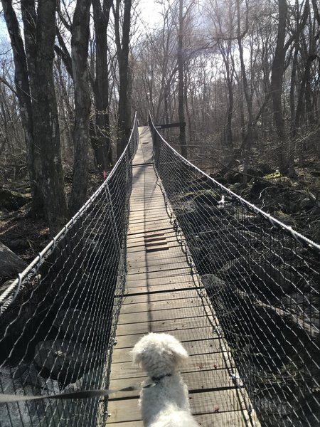 Suspension Bridge