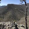 Viewpoint off Old Butt Knob Trail