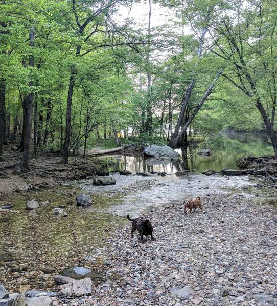 Looking from the falls towards the lake.