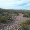 Looking west from the trail