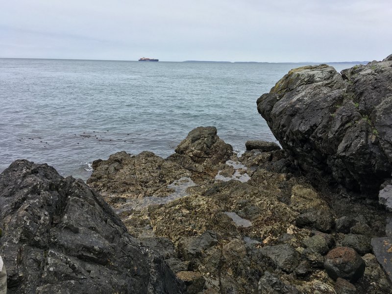 Looking at a container ship, with Vancouver Island in the background.