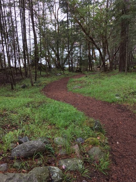 The trail is quite gorgeous.