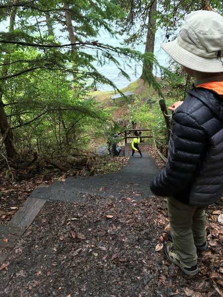 The steep stairs leading down to the kiln and picnic tables.