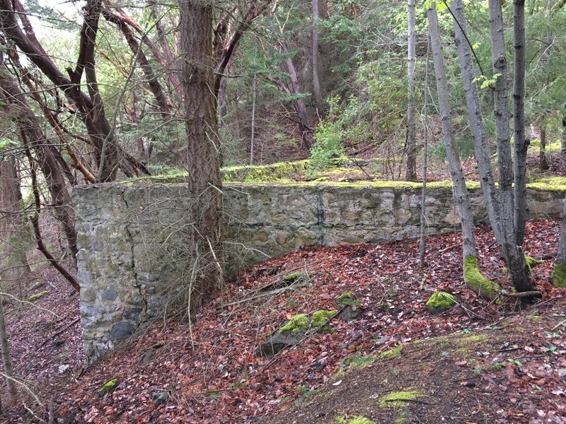 Ruins on the Land Bank property.