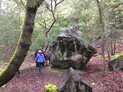 A large boulder on the trail.