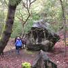 A large boulder on the trail.