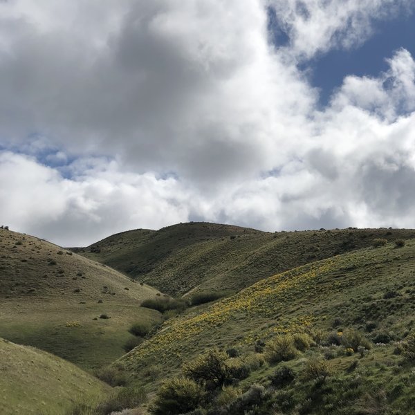 Looking up the valley in late April. Beautiful!