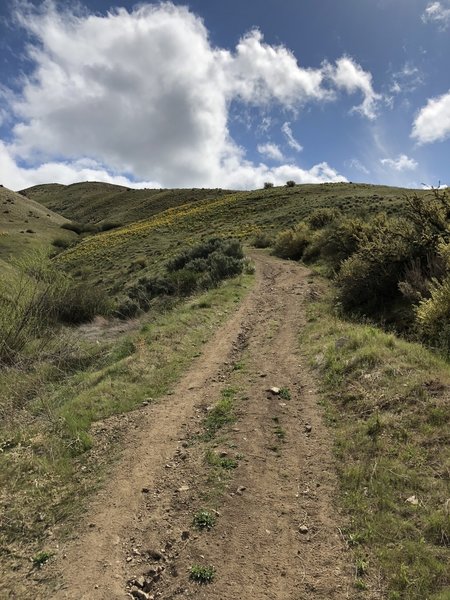 The trail is in great shape. Great for MTB, trail running, and hiking!