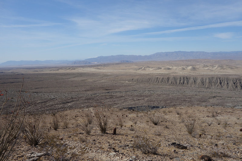 Braided washes of Rattlesnake Canyon