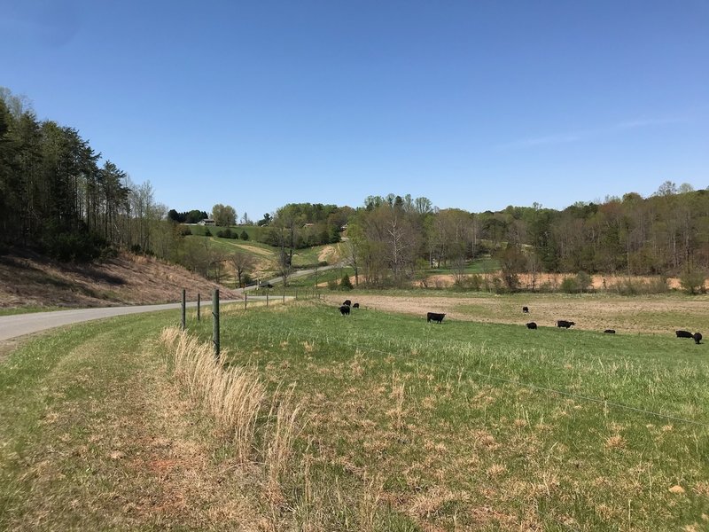 Nice view at the end of the trail