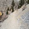 Short section of shell covered trail