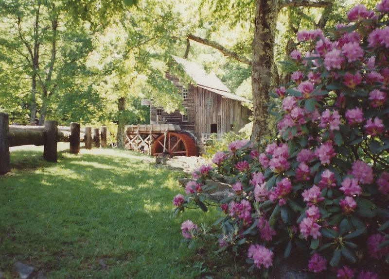 Glade Creek Grist Mill and Rhododendrons