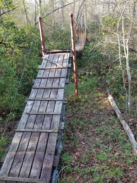 Suspension Bridge crossing creek