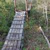 Suspension Bridge crossing creek