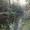 View of Byrd Creek and returning trail on the other bank.