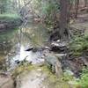 Byrd Creek and the trail on the right