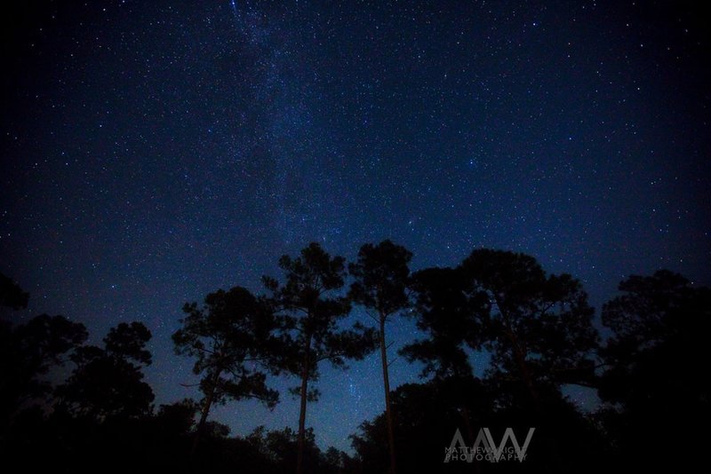 Night time at Hopkins Prairie