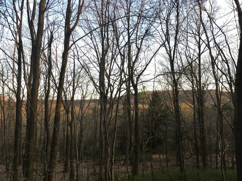 View of the valley overlooking Lake Arthur