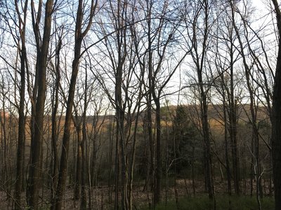 View of the valley overlooking Lake Arthur