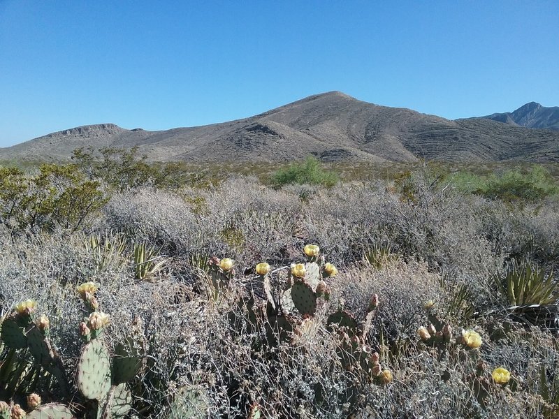 View of Upper Sunset ridge from the trail