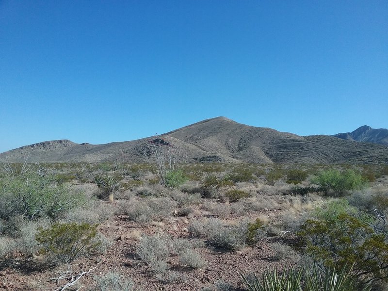 Looking east on the trail