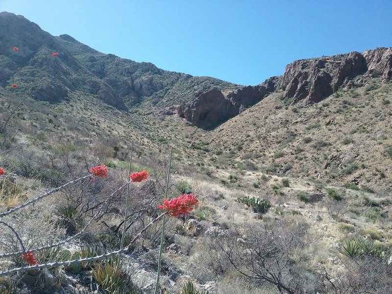 View of the Cave