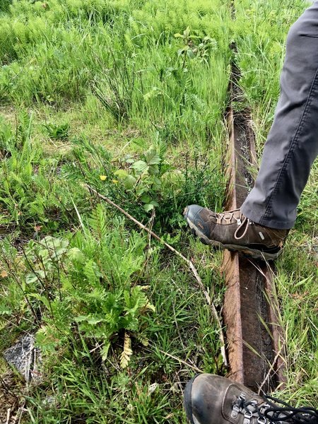 Some of the railroad tracks are still on the side of the trail.