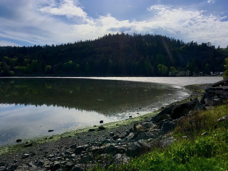 Reflections on Fidalgo Bay.