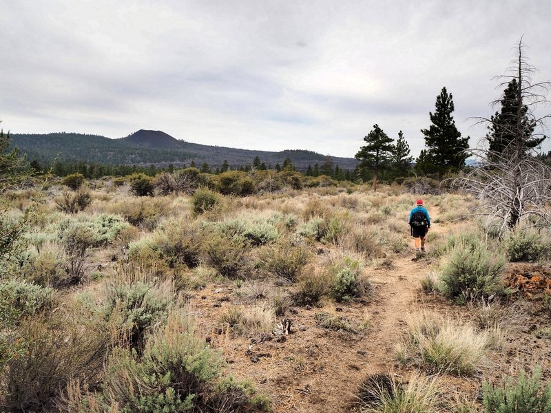 Cinder Butte from the trail