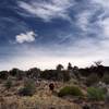 Approaching the rim of Mammoth Crater