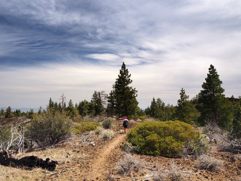 The Big Nasty Trail on the edge of Mammoth Crater