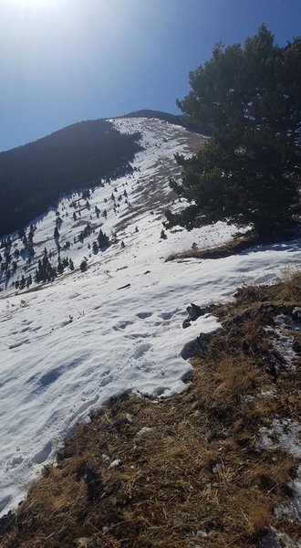 Half way up, looking up the ridge line to the summit.