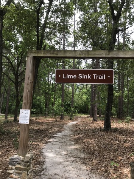 Beginning of Lime Sink Trail