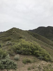 On the ridge