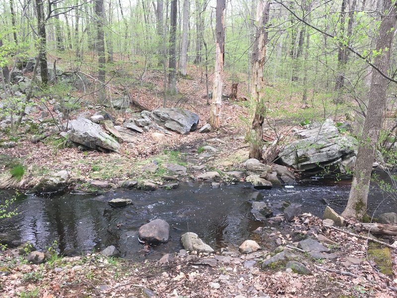 Stream crossing on Little Bear Trail (Green)