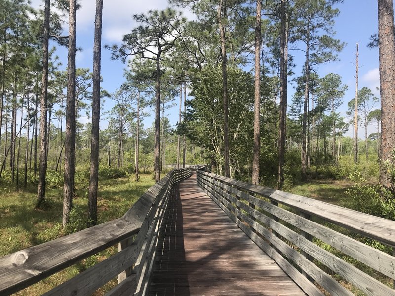 Trail boardwalk